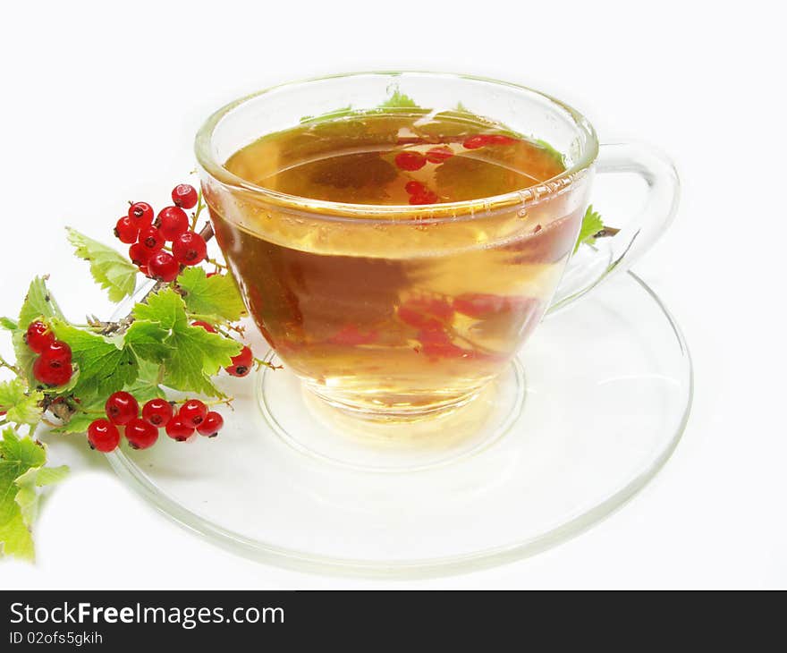 Herbal Tea With Red Currant Extract