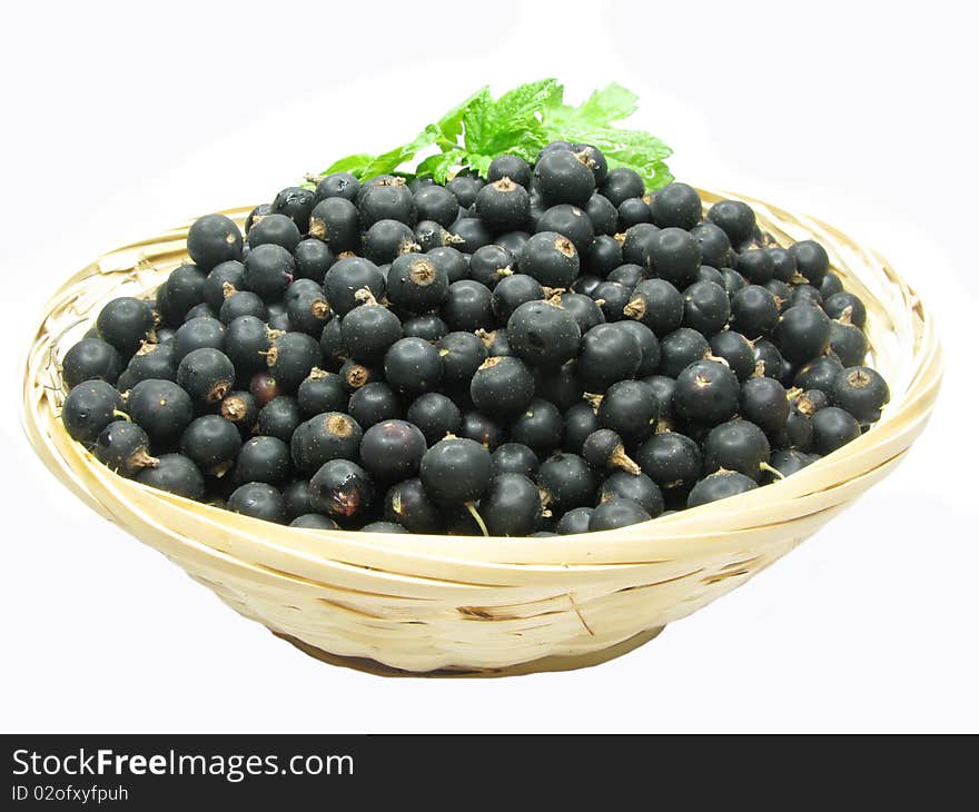 Black currant crop in bowl