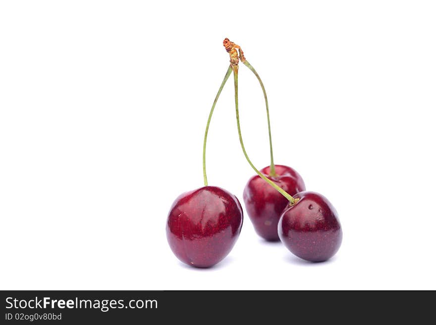 Several cherries on white background. Several cherries on white background