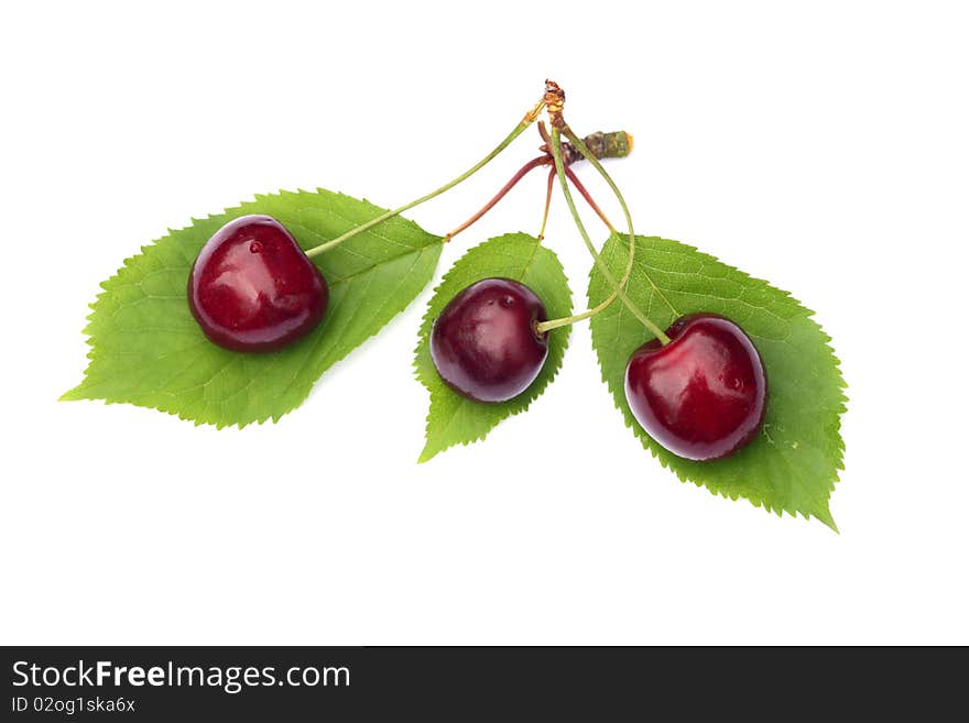 Several sweet cherries on white background