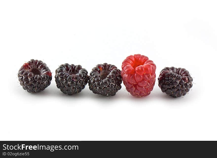 Berries isolated on white background