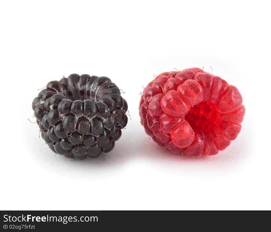 Berries isolated on white background