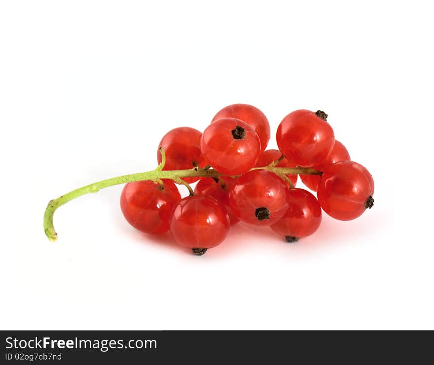 Currtant berries isolated on white background. Currtant berries isolated on white background