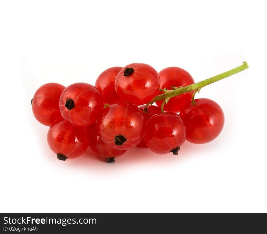 Currtant berries isolated on white background. Currtant berries isolated on white background