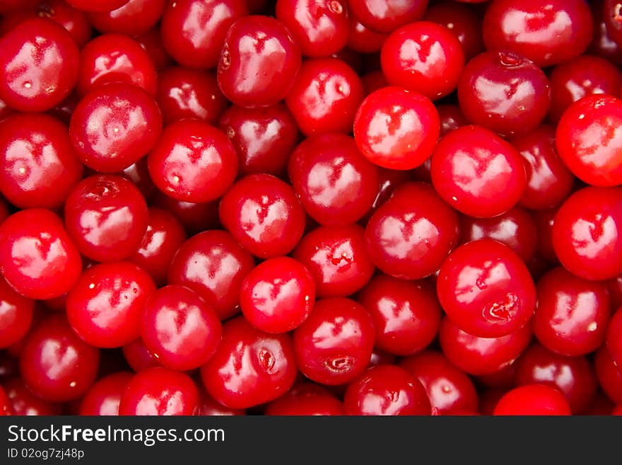 Background of red ripe cherries. Background of red ripe cherries