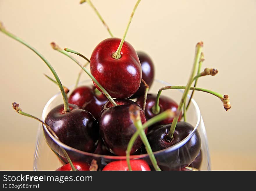 Fresh Ripe Cherries