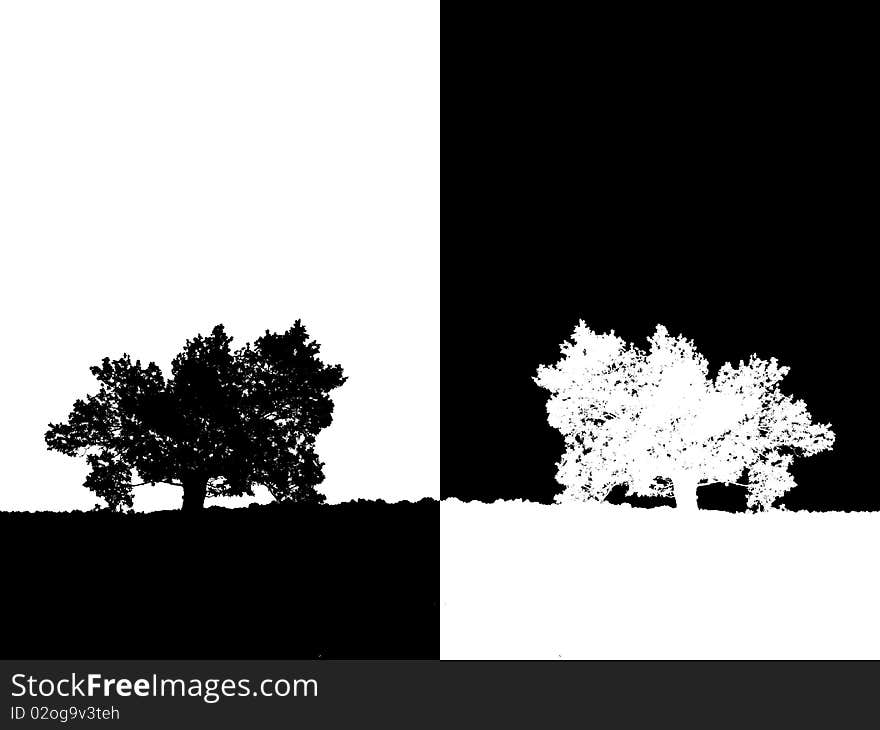 Abstract tree on white and black background. Abstract tree on white and black background