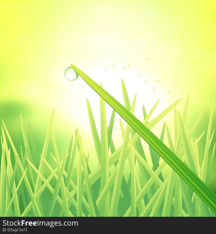 A single dew drop on a blade of grass. Vector illustration. A single dew drop on a blade of grass. Vector illustration.