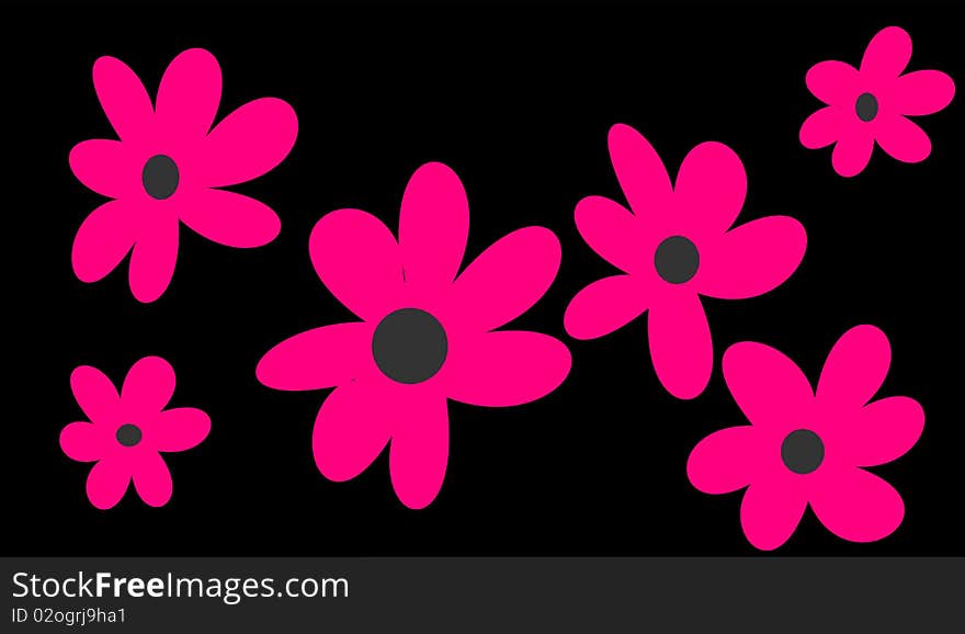 Pink flowers on black background