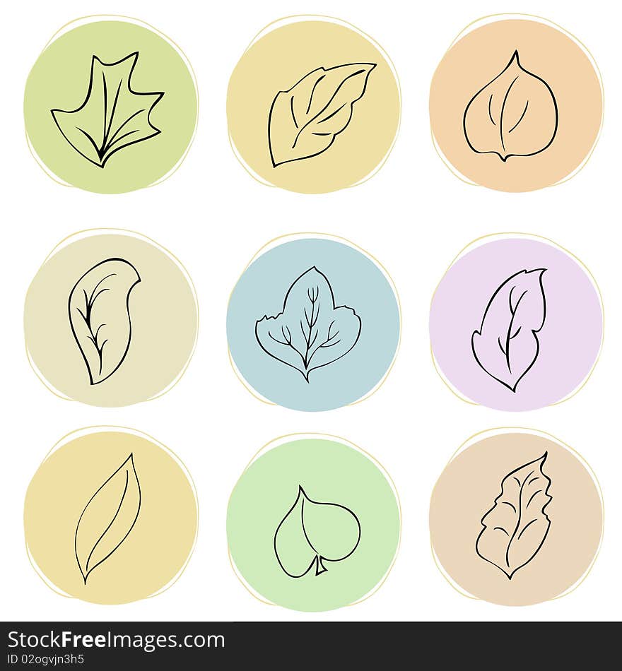 vector set of flower design elements