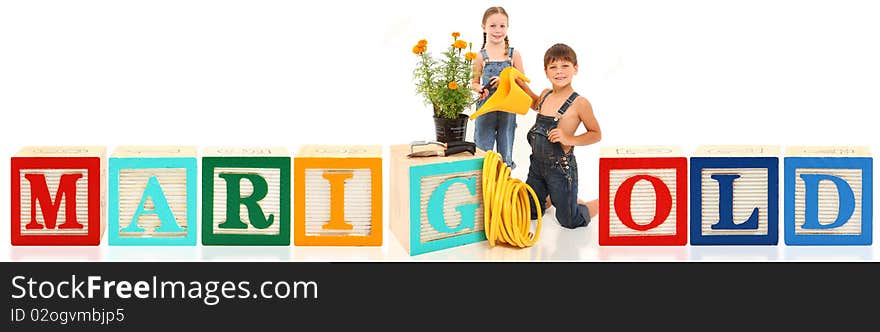 Attractive 5 and 6 year old brother and sister gardening with alphabet blocks. Word Marigold. Attractive 5 and 6 year old brother and sister gardening with alphabet blocks. Word Marigold.