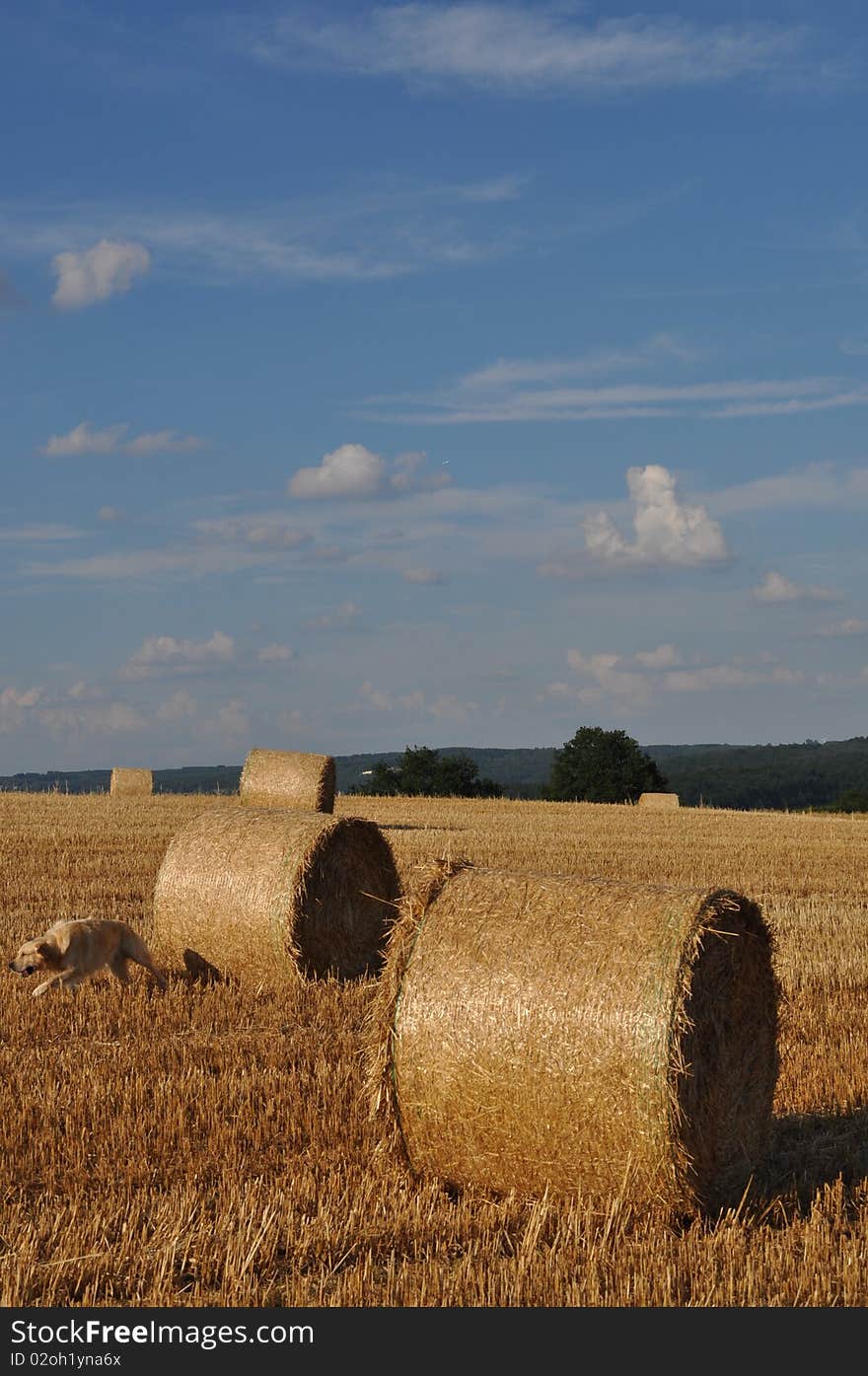 Beautiful landscape in the middle of germany. Beautiful landscape in the middle of germany