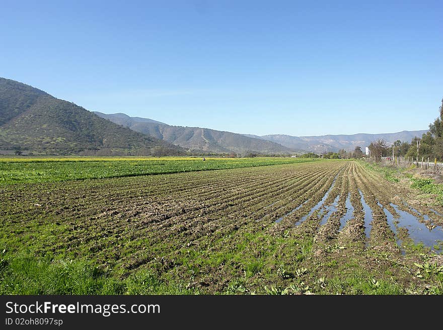 Farm landscape, small valley in the city of Santiago, chili