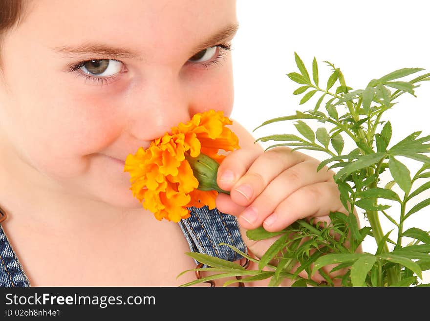 Attractive 3 year old american boy in overalls smelling marigold flower. Attractive 3 year old american boy in overalls smelling marigold flower.