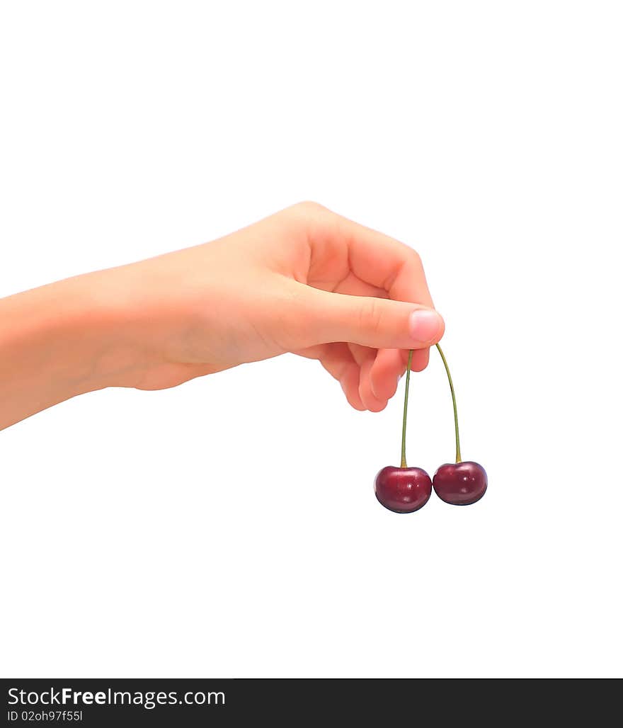 Hand holding two cherries isolated on white background. Hand holding two cherries isolated on white background