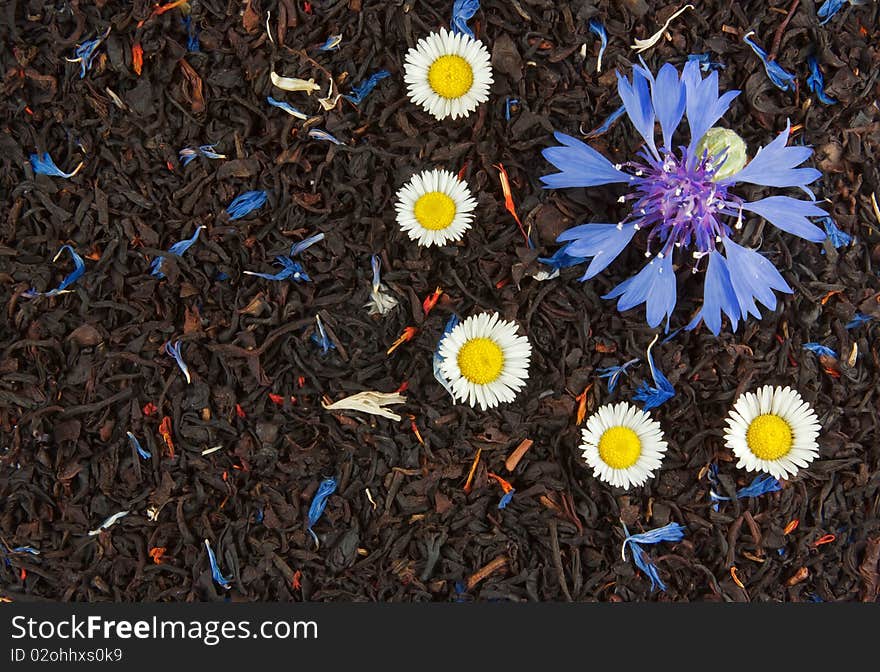 Flowers on the dry tea leaves background