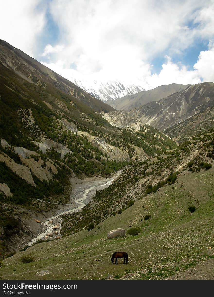 Track around Annapurna, Everest base camp. Track around Annapurna, Everest base camp