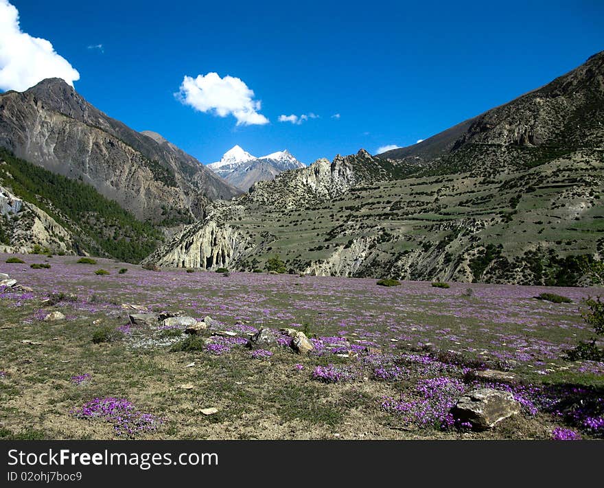 Track around Annapurna, Everest base camp. Track around Annapurna, Everest base camp