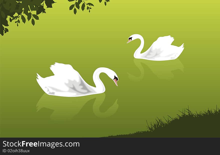 Swan couple on the lake -  illustration. Swan couple on the lake -  illustration