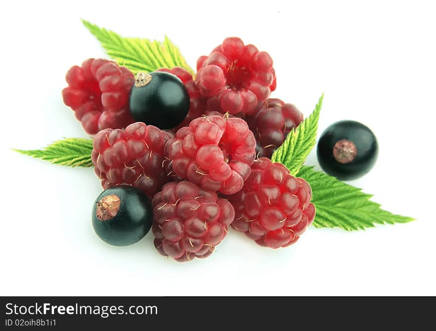 Ripe raspberry and  black currant