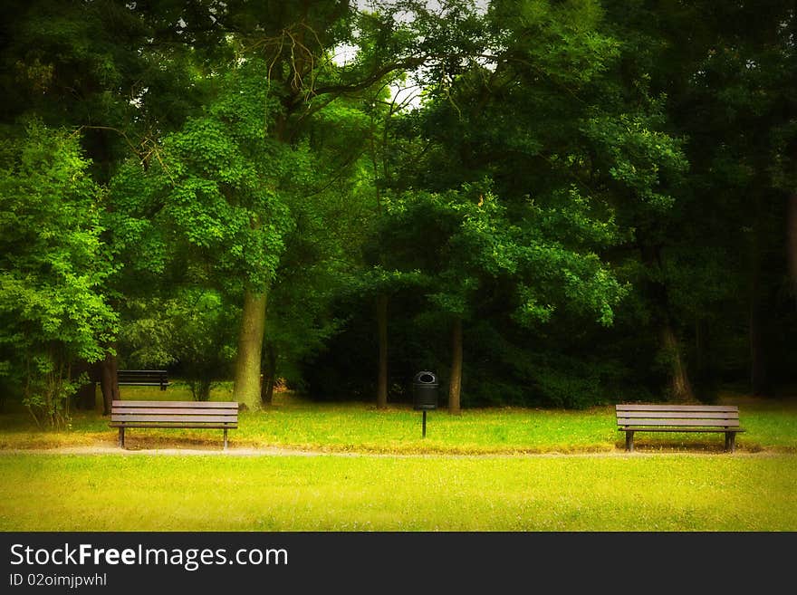 Park In Spring Time