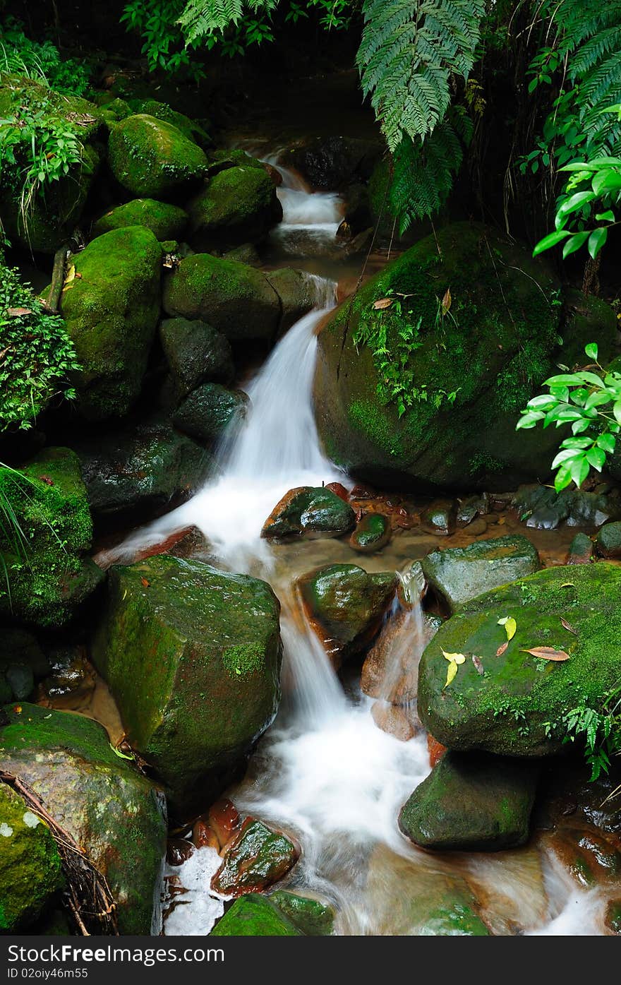 Beautiful waterfall in the forest. Beautiful waterfall in the forest