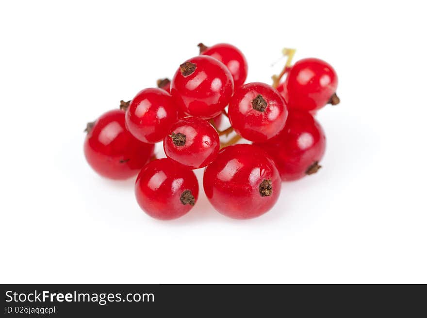 Branch of the red currant on white background