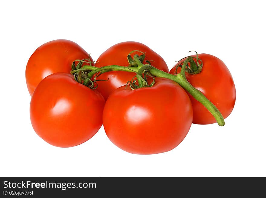 Tomatoes with green sprig