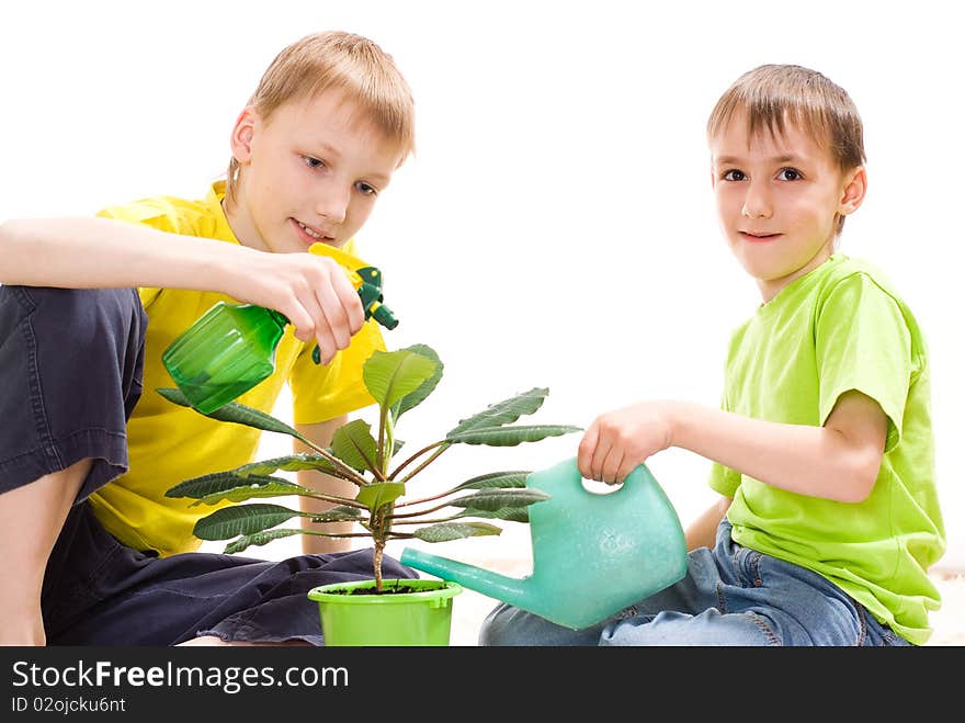 Boys on the carpet watering flower. Boys on the carpet watering flower