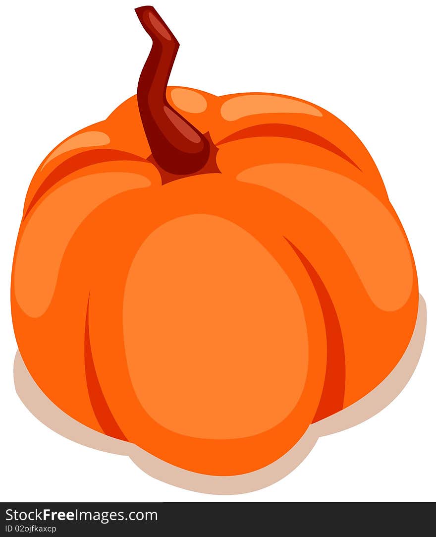 Illustration  of isolated  pumpkin on white background