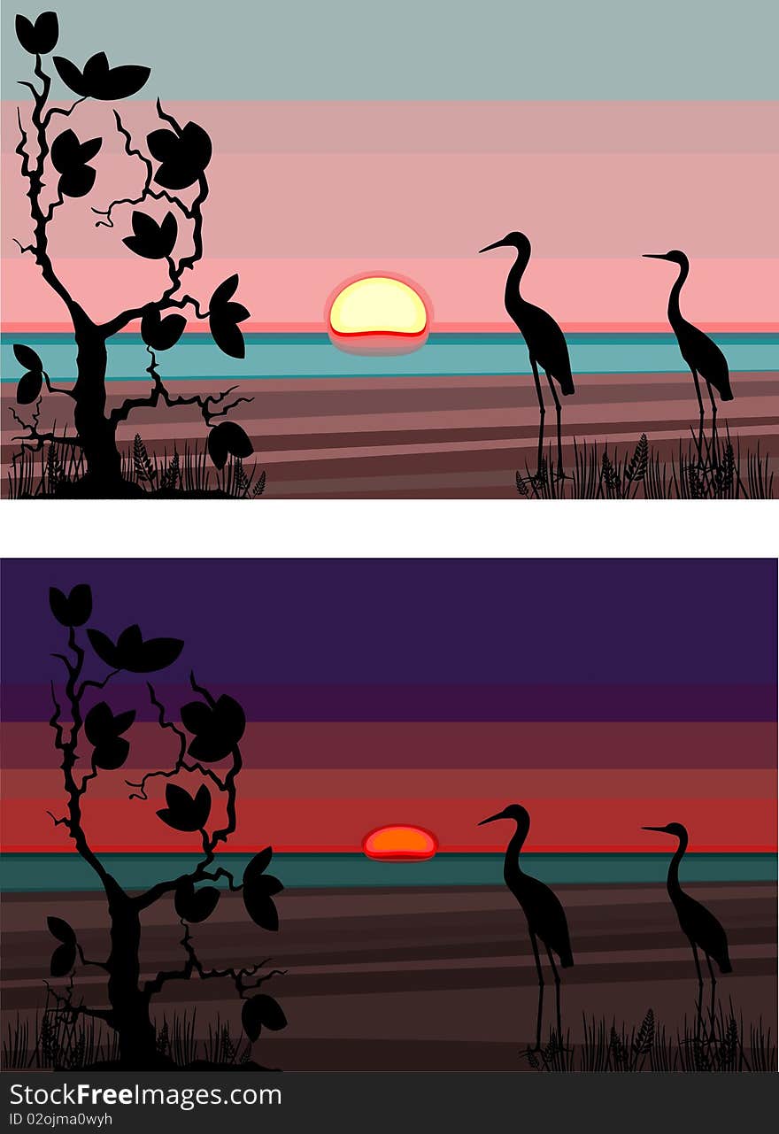 Sunset  with a silhouette of herons and wood