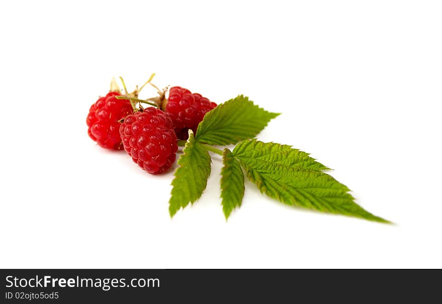 Ripe fresh raspberries with the green leaves on the white background. Ripe fresh raspberries with the green leaves on the white background