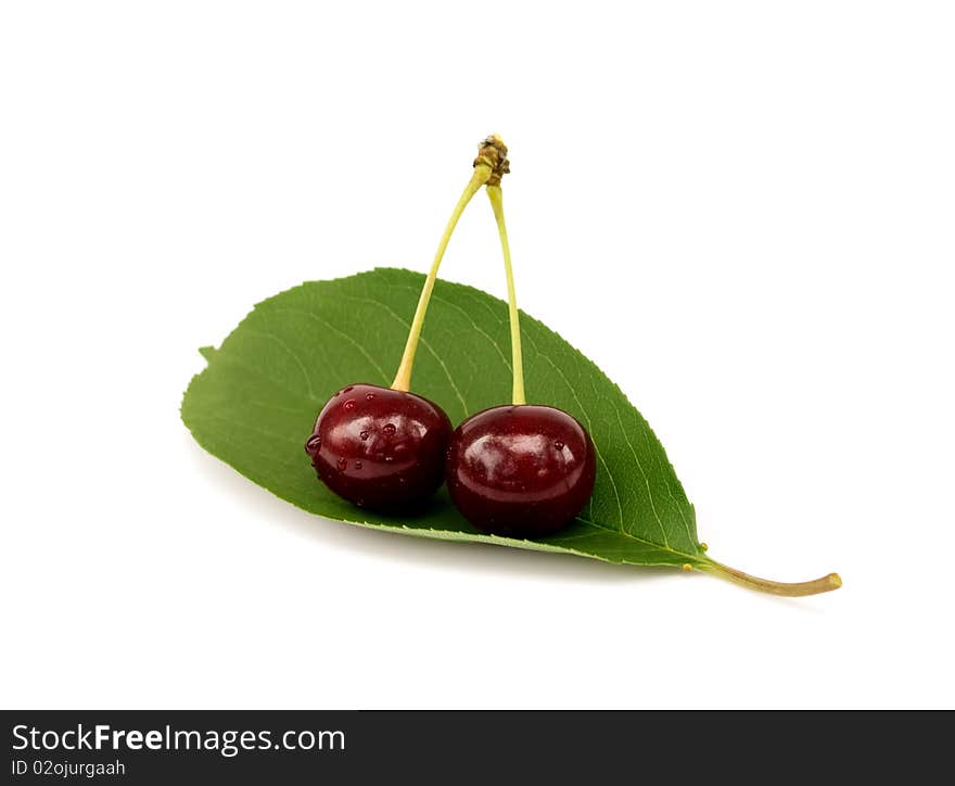 Two ripe juice cherries with water drops on the cherry leaf. Two ripe juice cherries with water drops on the cherry leaf