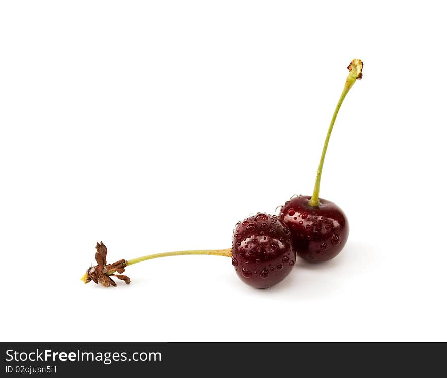 Two ripe cherries with drops of the worter on the white background. Two ripe cherries with drops of the worter on the white background