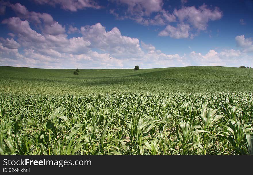 Green field under blue cloudy sky