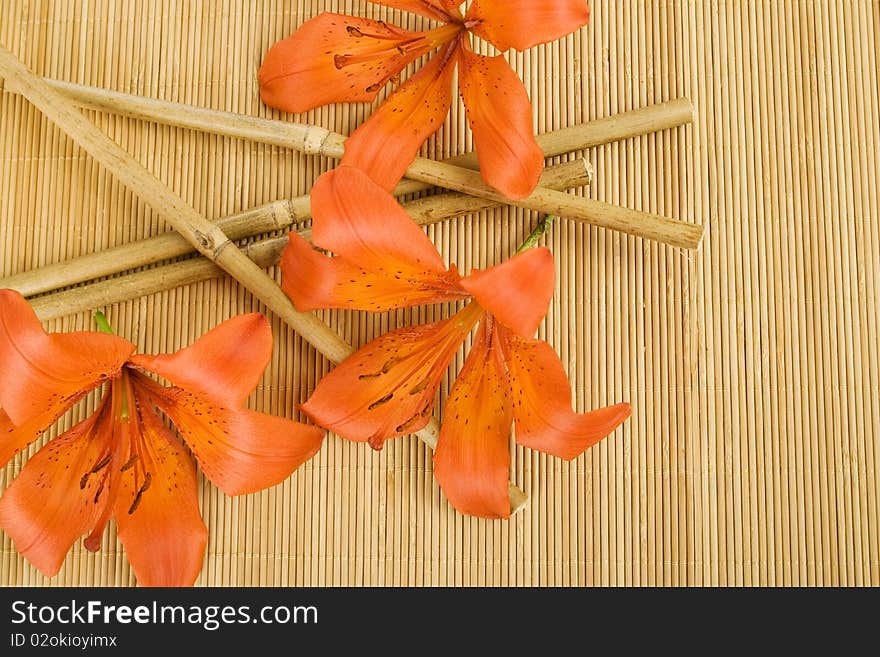 At the wooden surface orange flowers tiger lilies and bamboo sticks. At the wooden surface orange flowers tiger lilies and bamboo sticks