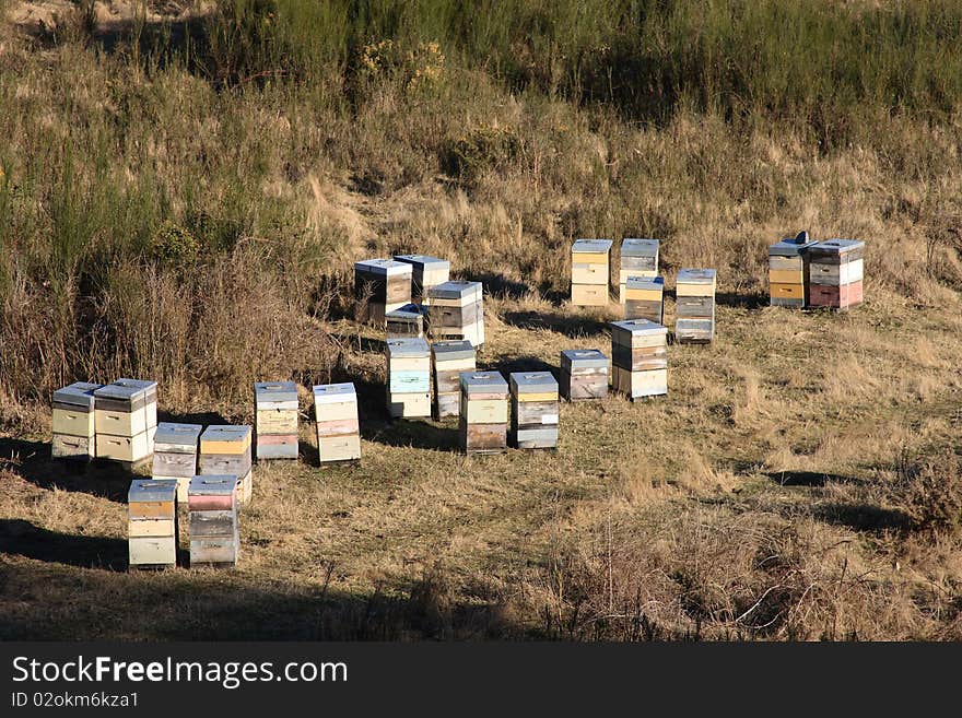 A collection of beehives and sunrise. A collection of beehives and sunrise.