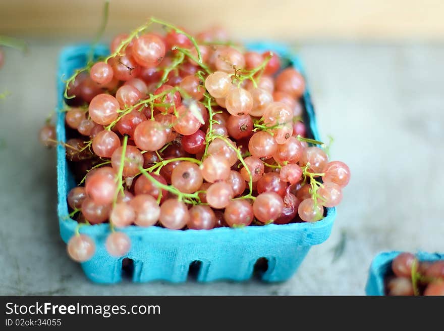 Image of the white currants.