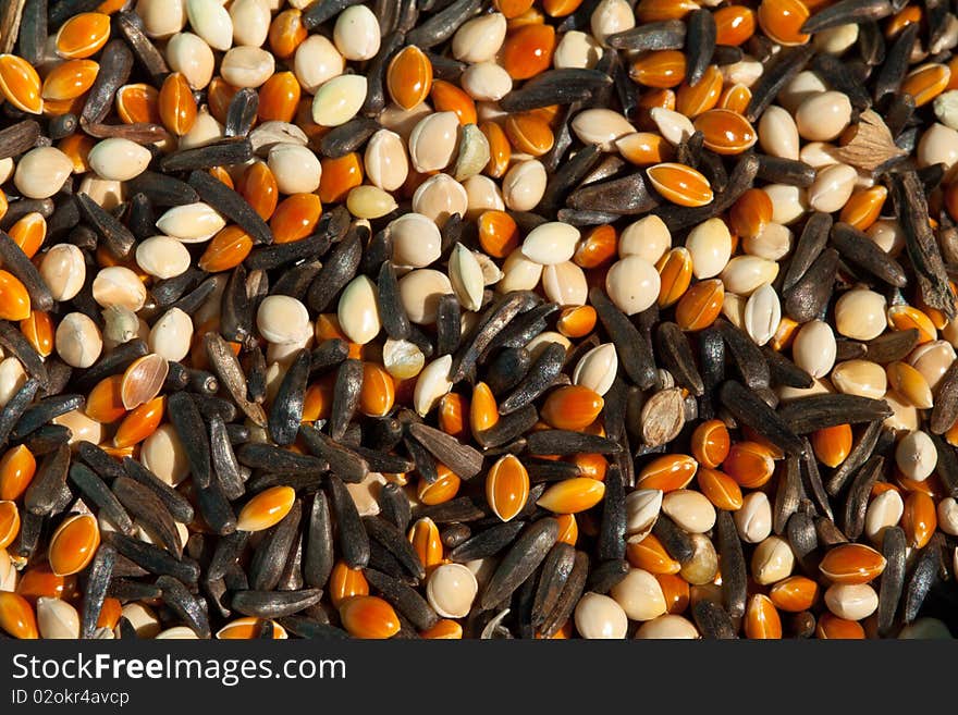 A variety of seed for bird feeding. A variety of seed for bird feeding