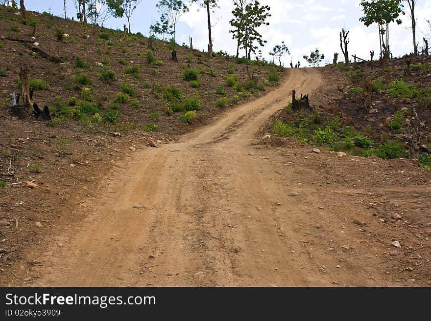 Countryside  Road