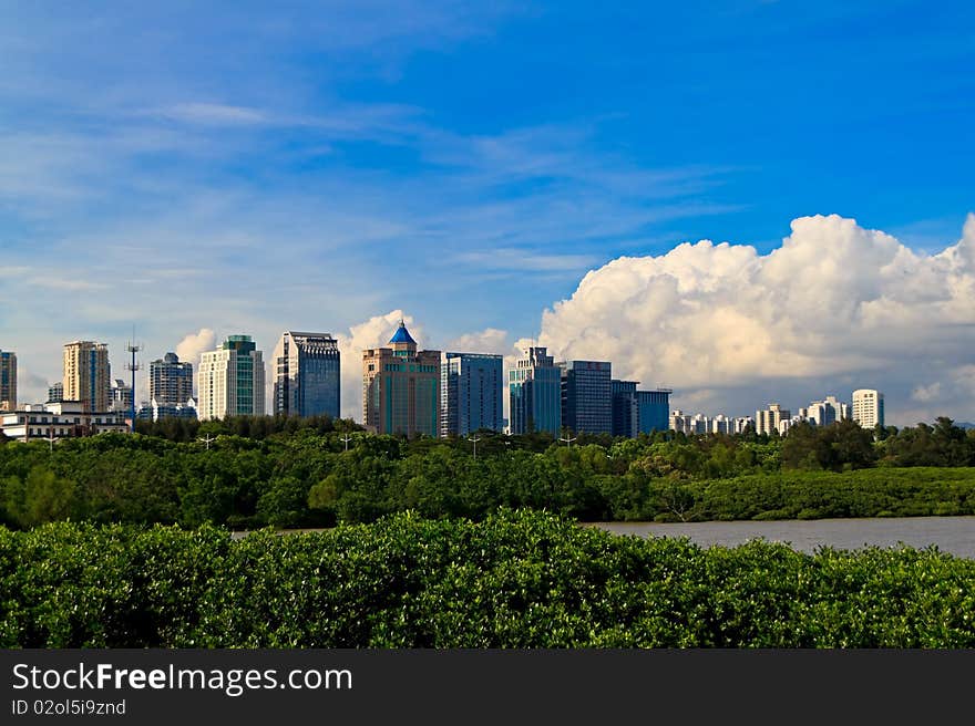 Mangroves and city