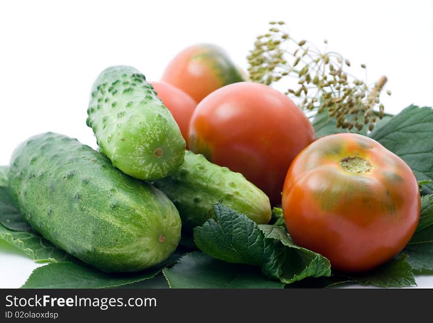 Tomatoes And Cucumber