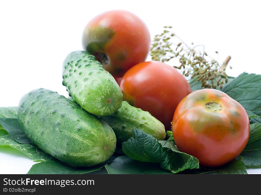 Tomatoes And Cucumber