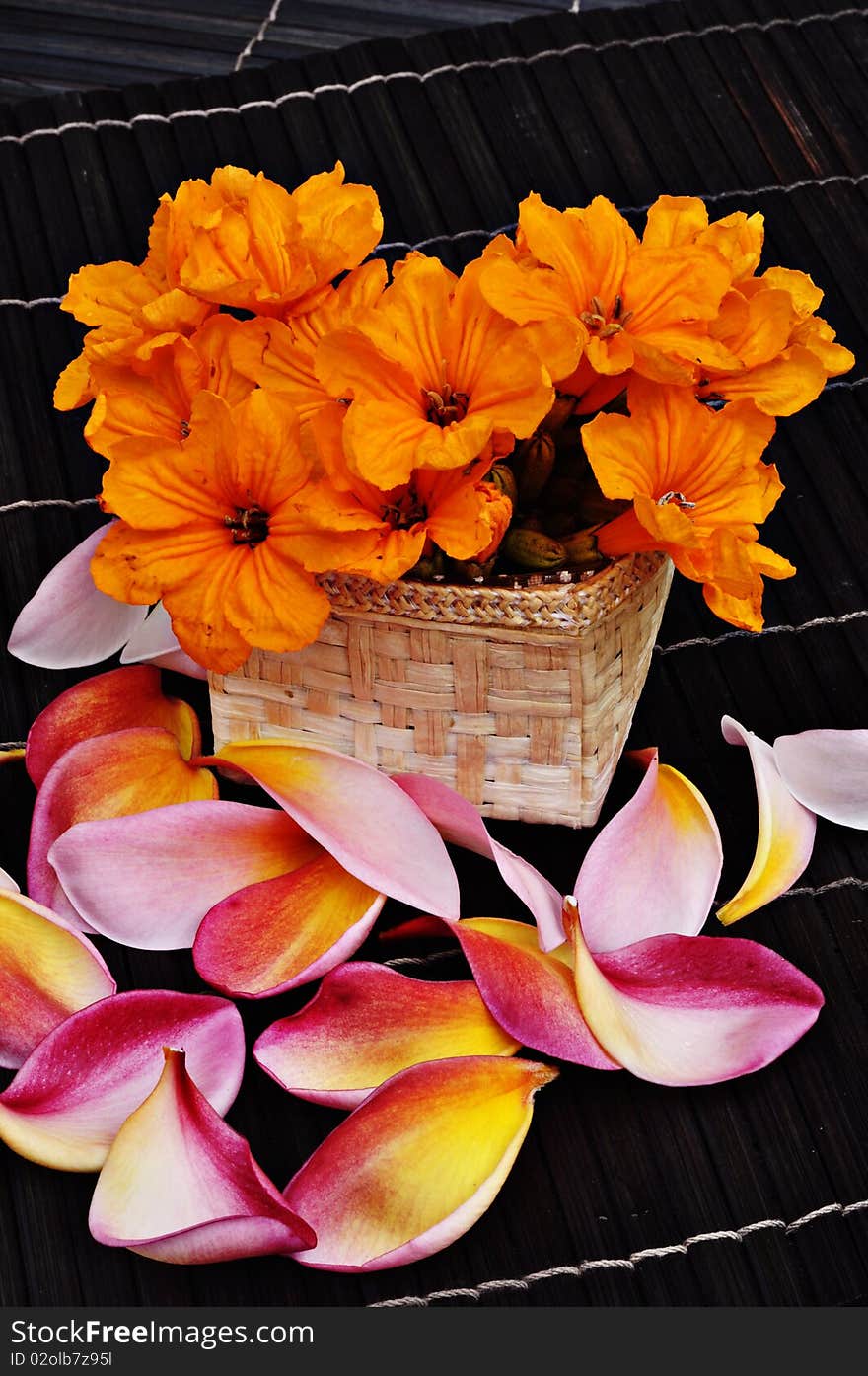 Orange flowers and frangipani