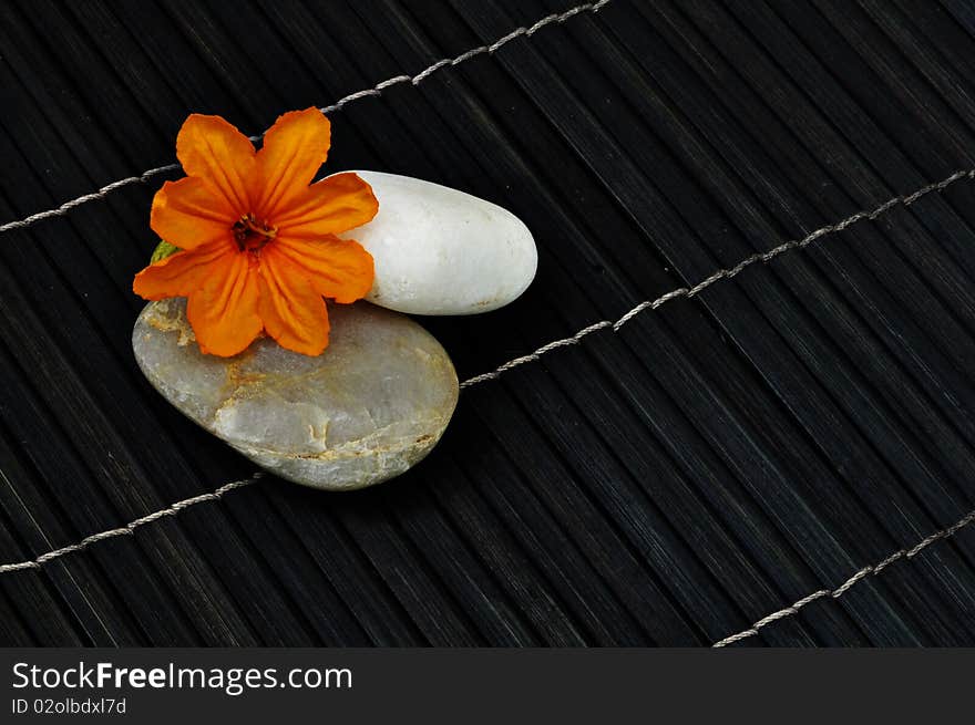 Tropical flower with two round stones