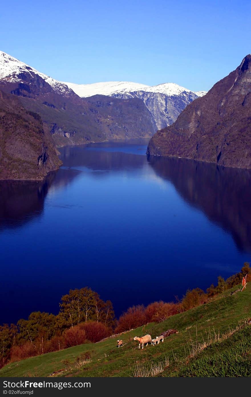 Beautiful view of the Norwegian fjord. Scenery near Flam and Aurland. Beautiful view of the Norwegian fjord. Scenery near Flam and Aurland.