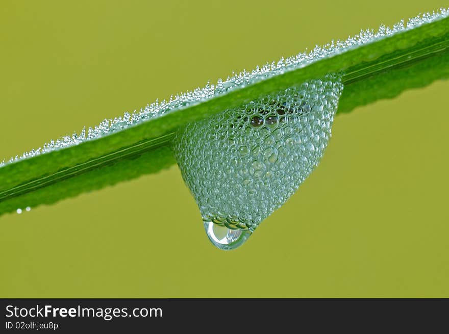 Water bubble in the park