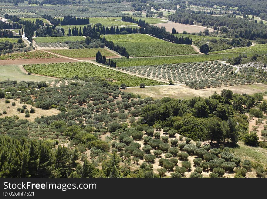 The detail of fertile land in the Provence region, France. The detail of fertile land in the Provence region, France.