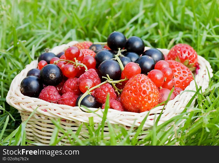 Ripe berries in a basket