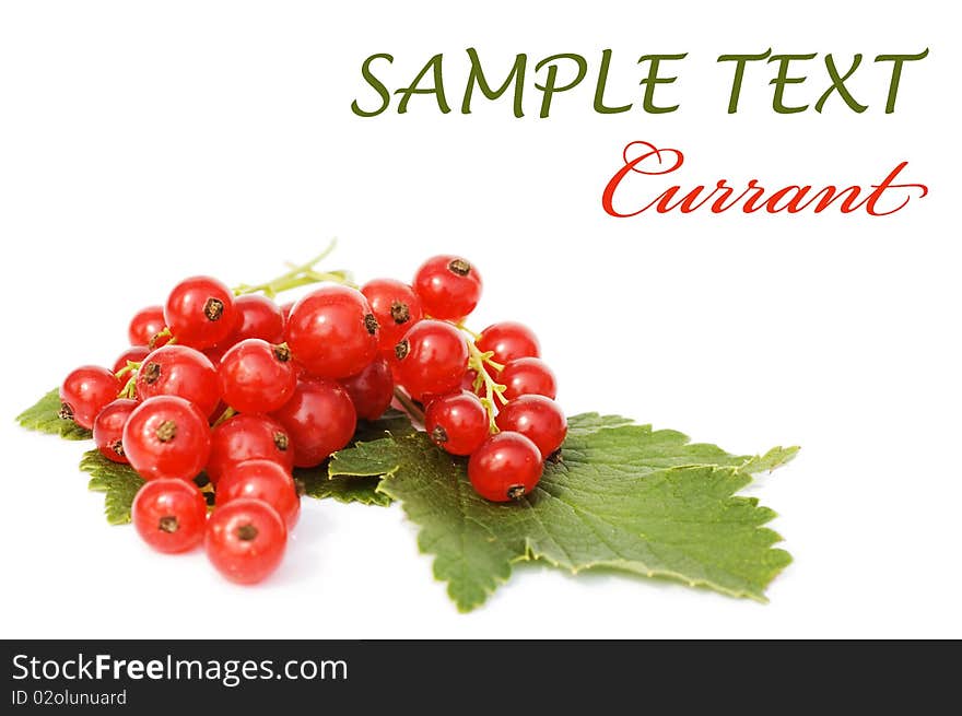 Red currant isolated over white